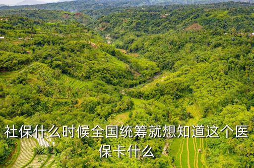 社保什么時(shí)候全國(guó)統(tǒng)籌就想知道這個(gè)醫(yī)?？ㄊ裁? class=