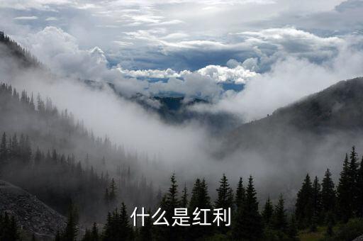什么是全球化紅利，紅利是指什么意思