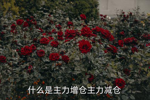 主力增減倉什么意思，什么是主力增倉主力減倉