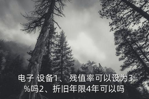 電子 設(shè)備1、 殘值率可以設(shè)為3%嗎2、折舊年限4年可以嗎