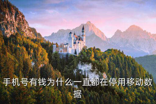 鏈動數(shù)據(jù)為什么有錢，廣東鏈動為什么那么多人認同和喜歡