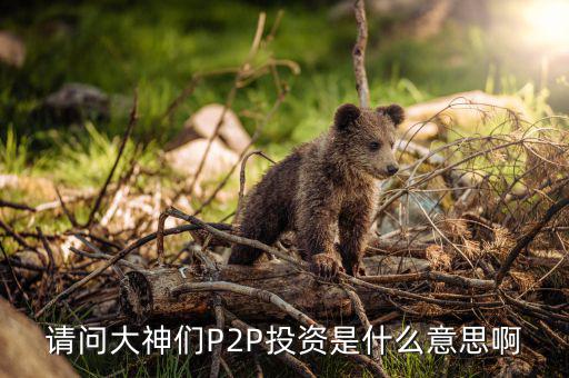 什么是p2p投資，請(qǐng)問大神們P2P投資是什么意思啊