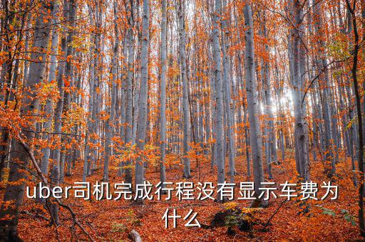 uber為什么不顯示價格，優(yōu)步叫車前看不到價格