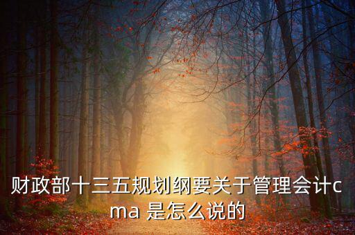 財政部對什么有具體規(guī)劃，財政部每年的具體招人計劃是怎么制定的或者那些公務(wù)員的職