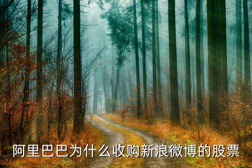 新浪微博為什么在盈利后才上市，新浪微博為何上市