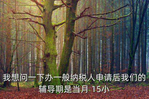 我想問一下辦一般納稅人申請(qǐng)后我們的輔導(dǎo)期是當(dāng)月 15小