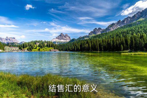 為什么外匯結(jié)匯，結(jié)售匯的意義