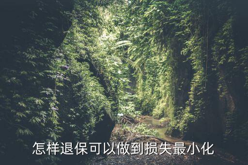 什么辦法能退保險不損失，退保怎樣能減少損失