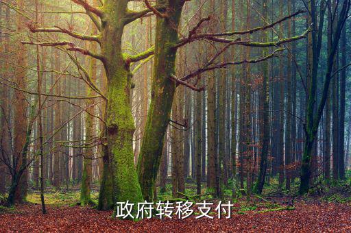 為什么政府提供實物轉移支付，一個國家為什么要執(zhí)行轉移支付制度