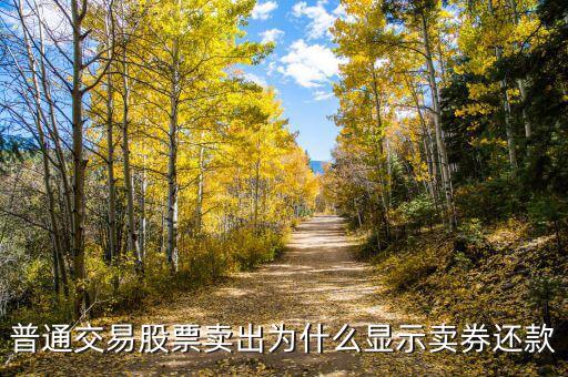 賣完股票后為什么還顯示負債，為什么融資買股票賣完后還有欠款