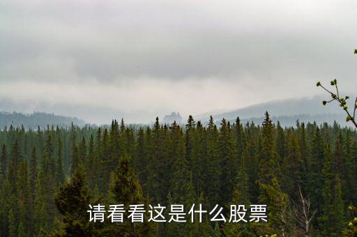 993961是什么股票，請(qǐng)看看這是什么股票