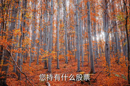 張正委持有什么的股票，香港中央代理人持有哪些股票