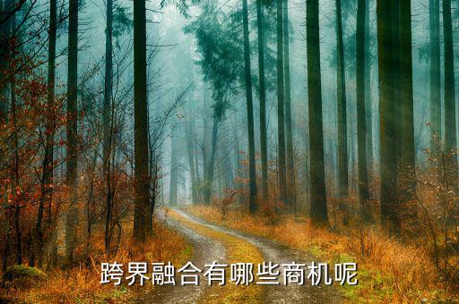 什么是跨界融合，跨界融合有哪些商機呢