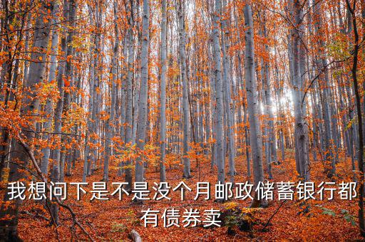 什么時(shí)候銀行承銷債券，政策性金融債承銷分銷流程