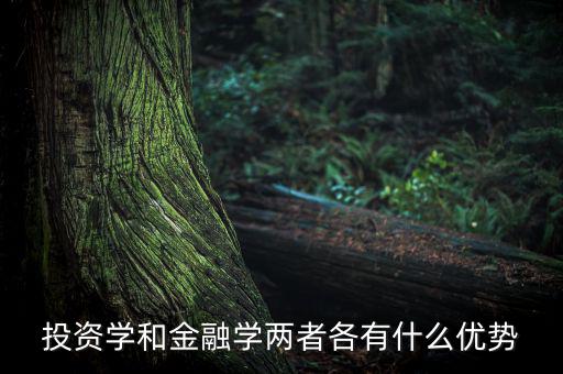 投資學(xué)有什么用，投資學(xué)和稅務(wù)學(xué)專業(yè)各自具體是學(xué)什么的以后就業(yè)前景及方