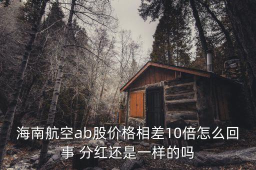 海航b股是什么意思，海南航空ab股價格相差10倍怎么回事 分紅還是一樣的嗎