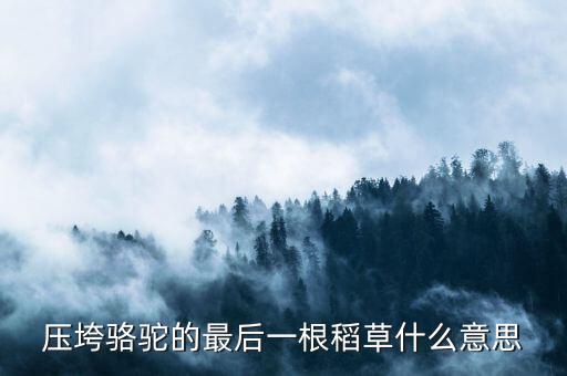 壓垮駱駝的最后一根稻草什么意思，壓死駱駝的最后一根稻草意味著什么