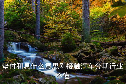 墊付利息是什么意思，紅利保險會自動墊付期間會出利息