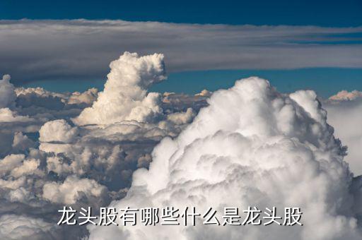 金馬股份怎么樣,部分熱門板塊的龍頭股介紹:比亞迪、金馬股份