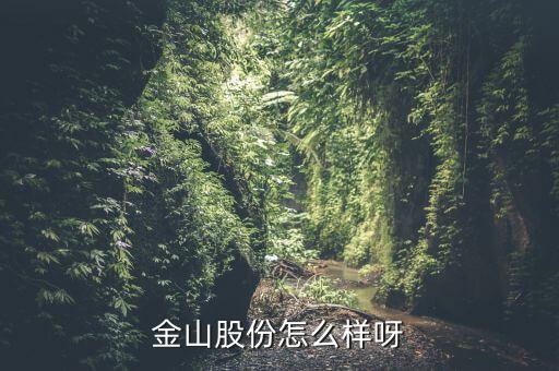 為什么沒人關(guān)注金山股份，金山股份怎么樣呀