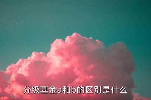 什么是a份額，分級基金A份額是什么意思