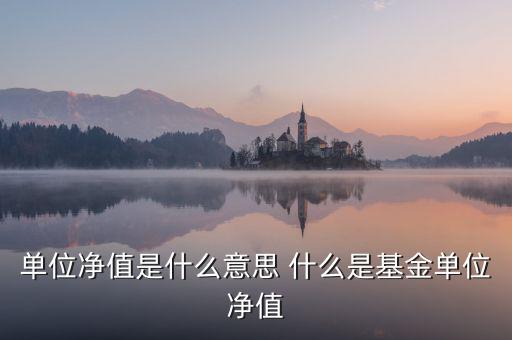 單位凈值什么意思，單位凈值是什么意思