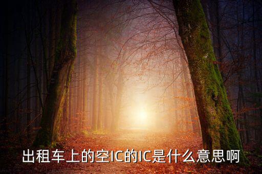 什么是ic空白卡，IC卡是什么