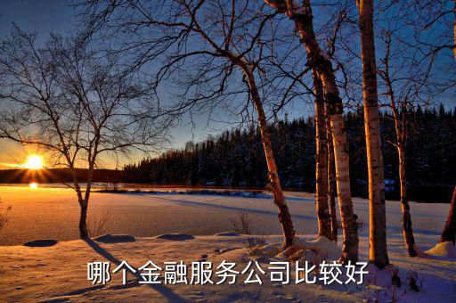 綜合性金融服務(wù)機構(gòu)是什么，安邦保險是綜合性的金融公司嗎它主要經(jīng)營哪些業(yè)務(wù)
