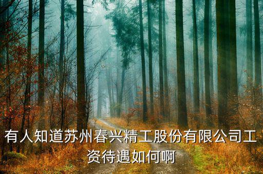 春興精工是做什么的，有人知道蘇州春興精工股份有限公司工資待遇如何啊