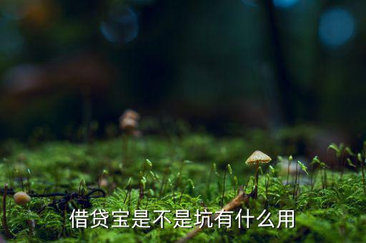 借貸寶賺利差什么意思，借貸寶賺利差是什么意思