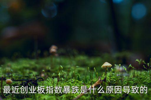 2014創(chuàng)業(yè)板指數(shù)為什么會(huì)下跌，為什么股指大幅下跌2014