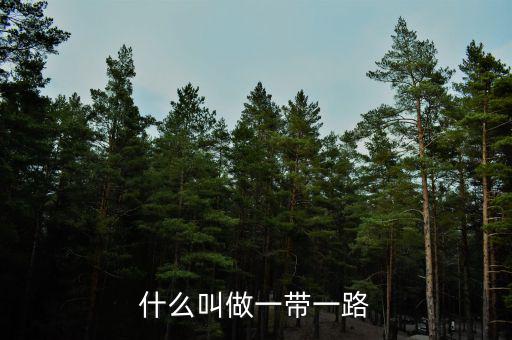 一帶一路什么產(chǎn)品，一帶一路是什么