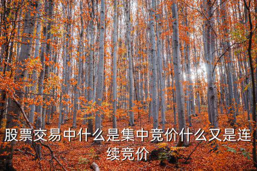 集合競價是什么意思，股票交易中什么是集中競價什么又是連續(xù)競價
