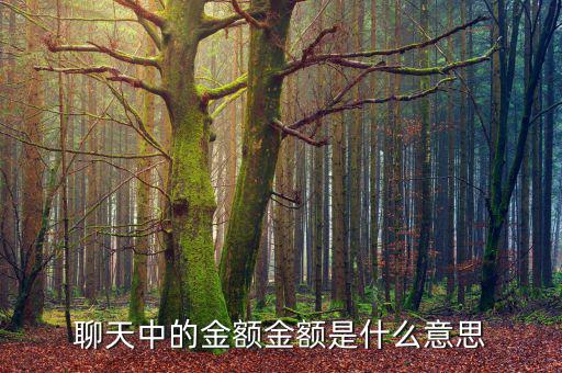金額是什么意思，什么叫金額