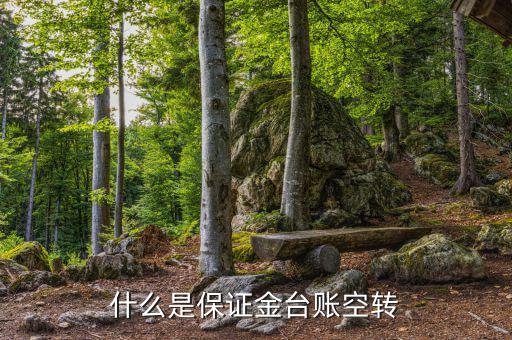 什么是資金空轉(zhuǎn)，資金沖轉(zhuǎn)的含義是什么名詞解釋