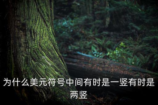 比美元符號多一豎是什么，一個很像美元的符號 但是那一豎是不貫穿S的 也就是S上面有一小豎