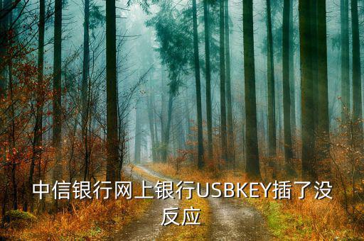 中信銀行插卡消費為什么沒有反應，中信網銀USBKEY插上沒反應怎么回事求大神幫助
