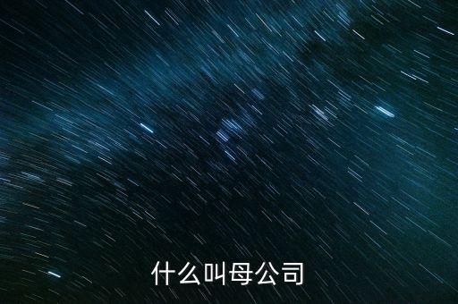 財(cái)務(wù)報(bào)告中母公司是什么意思，財(cái)務(wù)報(bào)表中的合并與母公司是什么意思