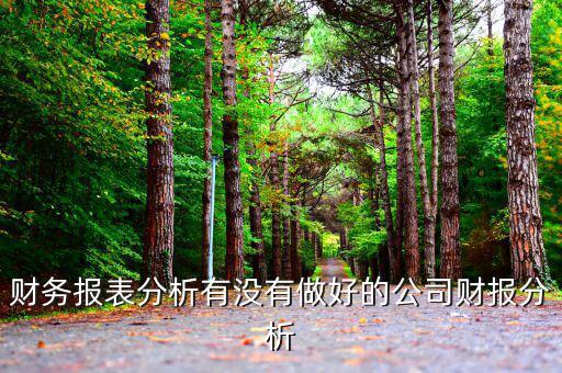 初學者財務分析分析什么公司，投資公司財務分析范文