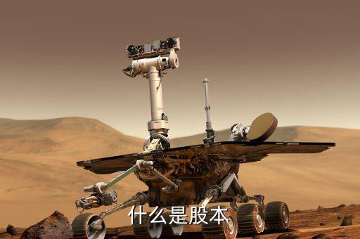 股票股本是什么意思，股本的概念