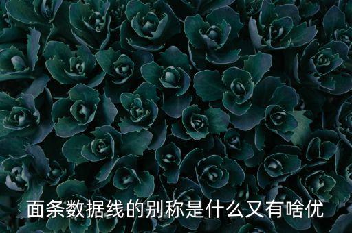skewrons是什么牌子，skewrons是什么意思