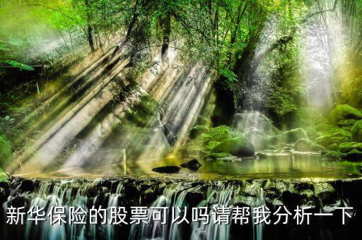新華保險為什么股票漲這么多，新華保險的股票可以嗎請幫我分析一下