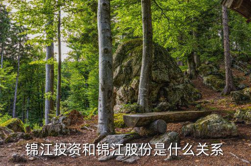 錦江投資是什么板塊，錦江投資和錦江股份是什么關(guān)系