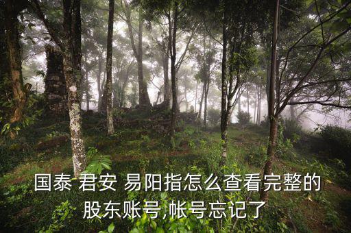 國(guó)泰君安易陽指怎么用
