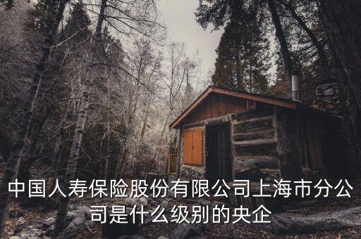 市屬國(guó)企是什么級(jí)別，省屬和市屬企業(yè)的界定標(biāo)準(zhǔn)是什么