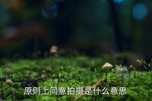 原則上同意是什么意思，原則上同意是什么意思