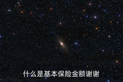 什么叫基本保險(xiǎn)金額，基本保險(xiǎn)金額是什么意思