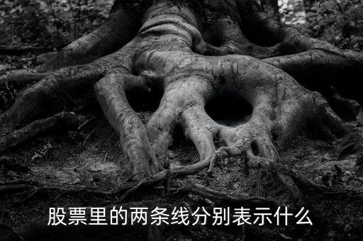 股票伴侶線代表什么，股票行情圖線的意義