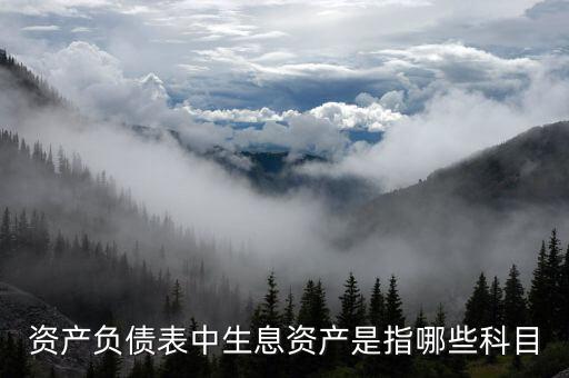 什么是生息負(fù)債，什么是速動(dòng)資產(chǎn)流動(dòng)負(fù)債和生息債務(wù)