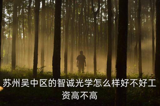 智誠(chéng)光學(xué)里面主要生產(chǎn)什么，蘇州智誠(chéng)光學(xué)公司怎么樣